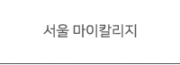 서울 마이칼리지